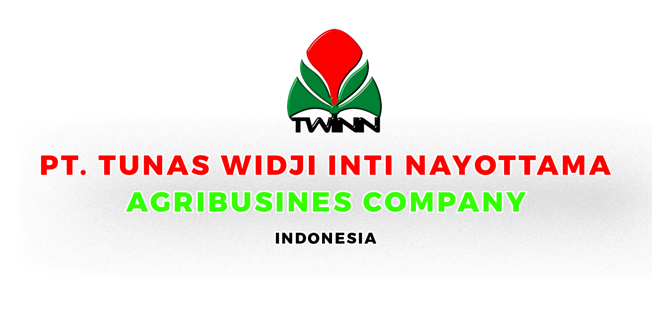 Logo TWIIN